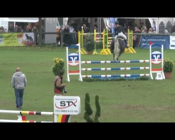 Reitturnier Bad Segeberg 2017