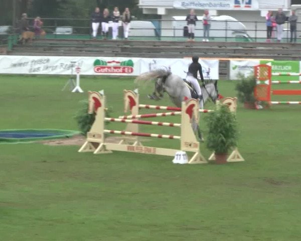 Reitturnier Bad Segeberg 2017