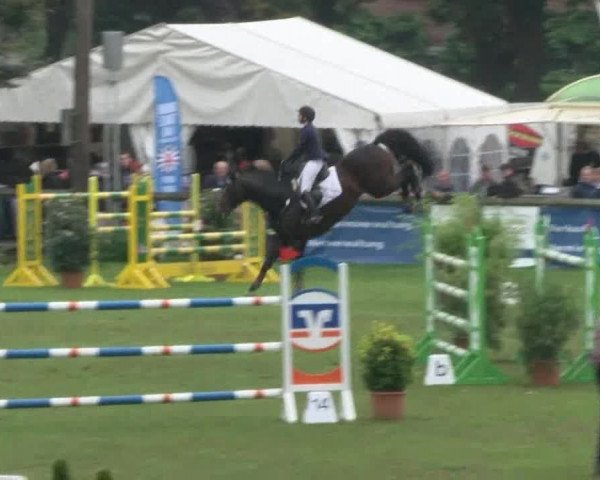 Reitturnier Bad Segeberg 2017