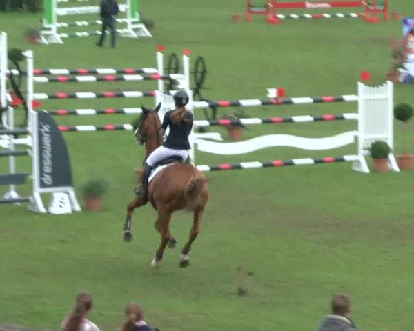 Reitturnier Bad Segeberg 2017