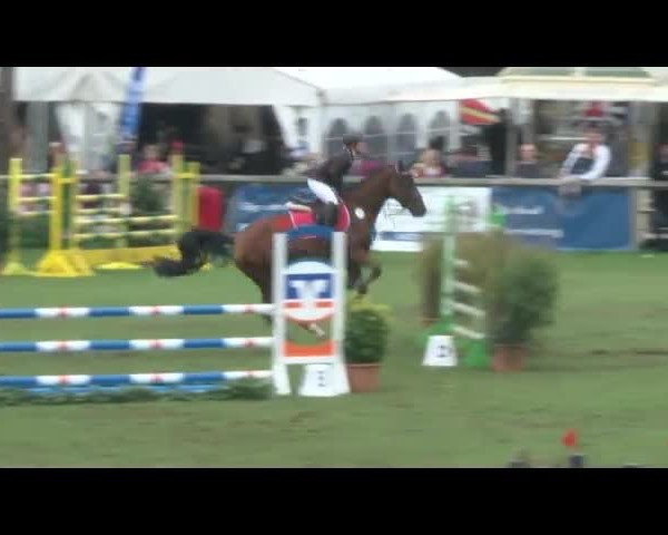 Reitturnier Bad Segeberg 2017