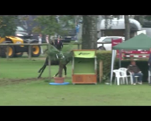 Reitturnier Bad Segeberg 2017