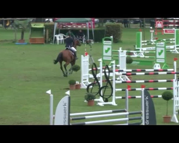 Reitturnier Bad Segeberg 2017