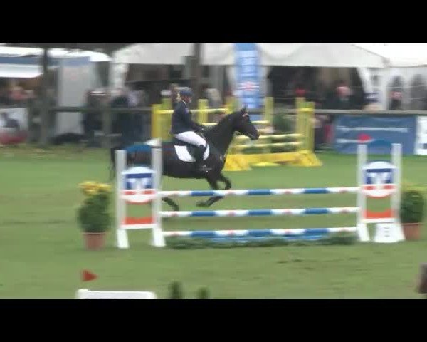 Reitturnier Bad Segeberg 2017