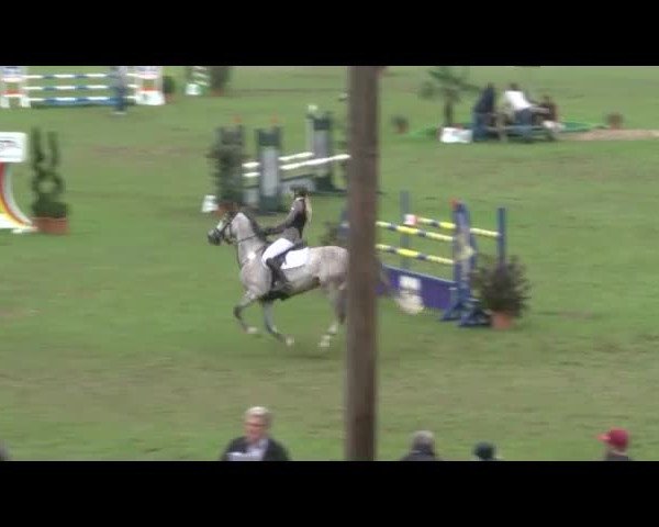 Reitturnier Bad Segeberg 2017