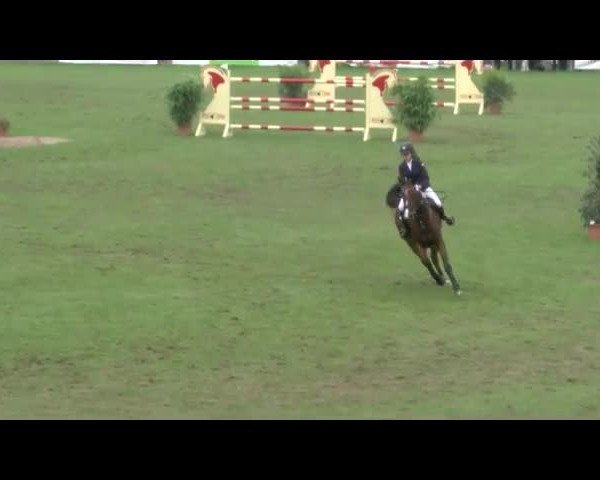 Reitturnier Bad Segeberg 2017