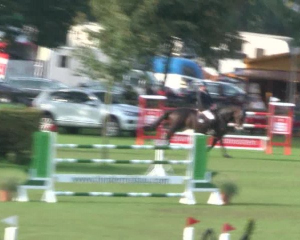 Reitturnier Bad Segeberg 2017