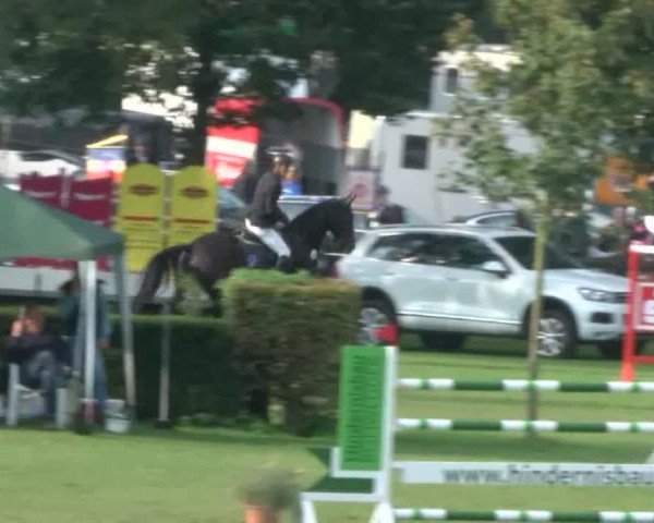 Reitturnier Bad Segeberg 2017