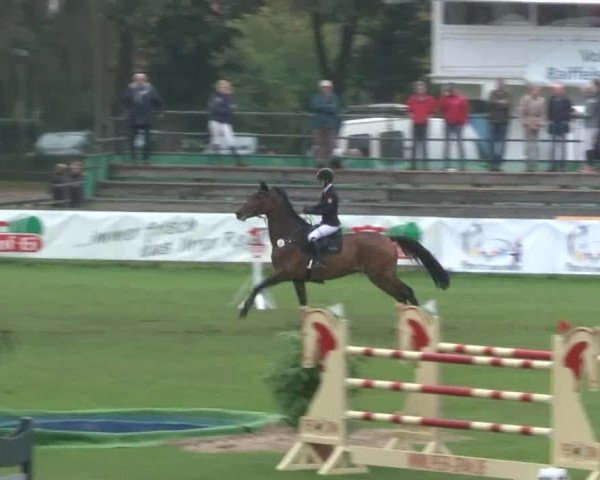 Reitturnier Bad Segeberg 2017
