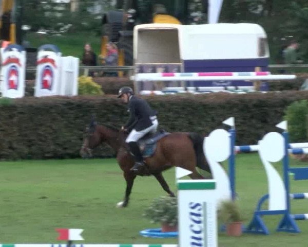 Reitturnier Bad Segeberg 2017