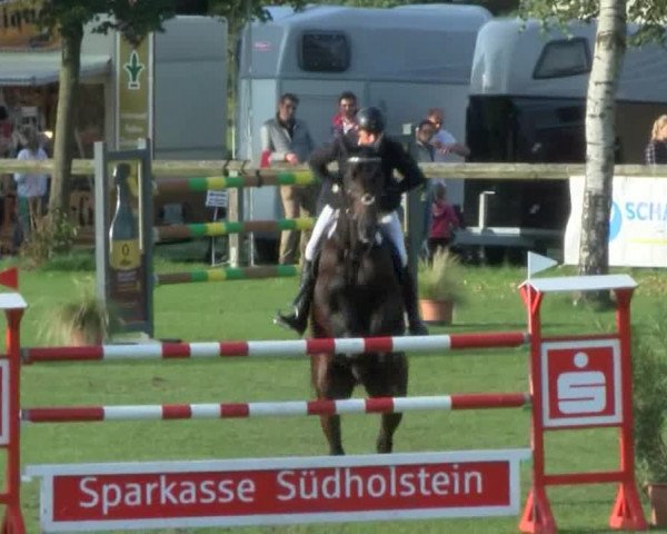 Reitturnier Bad Segeberg 2017