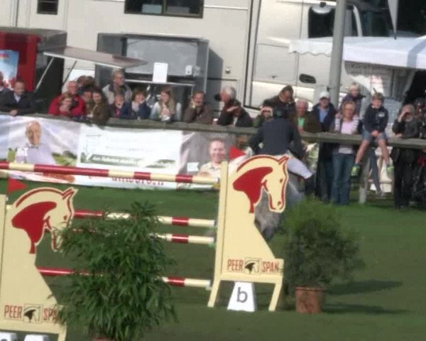 Reitturnier Bad Segeberg 2017