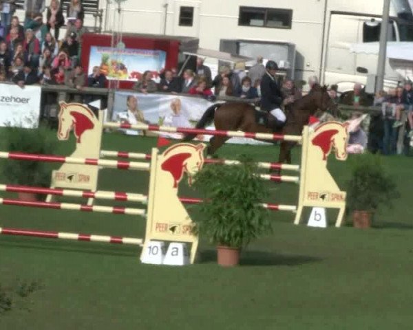 Reitturnier Bad Segeberg 2017