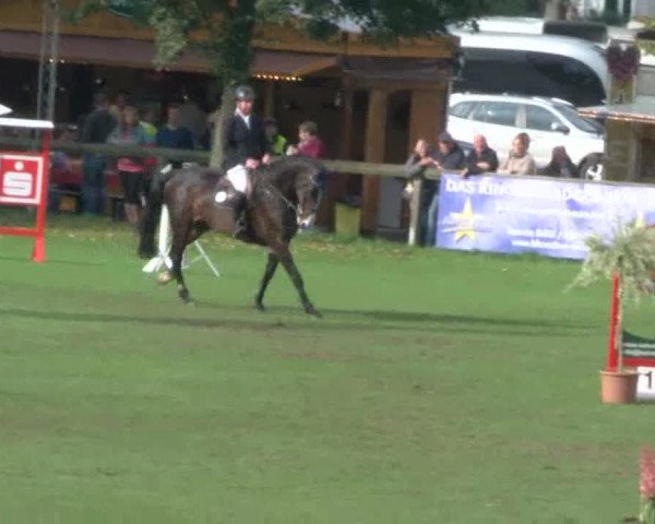 Reitturnier Bad Segeberg 2017