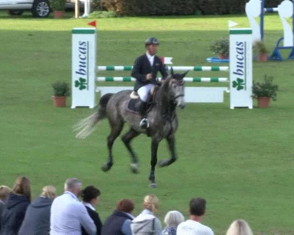 Reitturnier Bad Segeberg 2017