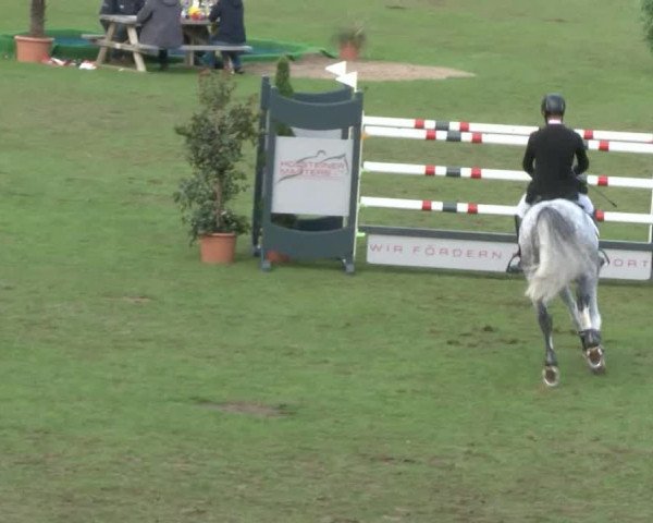 Reitturnier Bad Segeberg 2017