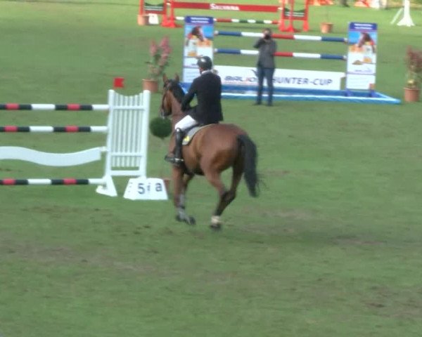 Reitturnier Bad Segeberg 2017