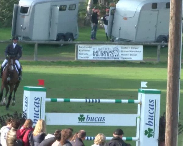 Reitturnier Bad Segeberg 2017