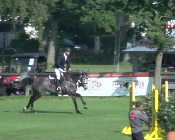 Reitturnier Bad Segeberg 2017
