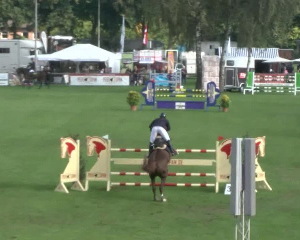 Reitturnier Bad Segeberg 2017