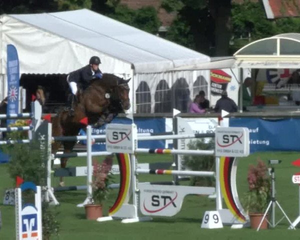 Reitturnier Bad Segeberg 2017