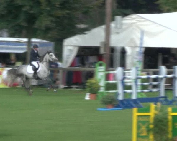 Reitturnier Bad Segeberg 2017