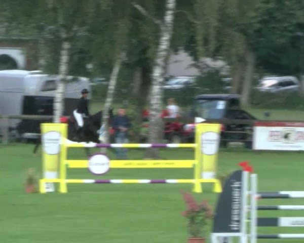 Reitturnier Bad Segeberg 2017