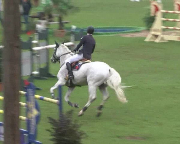 Reitturnier Bad Segeberg 2017