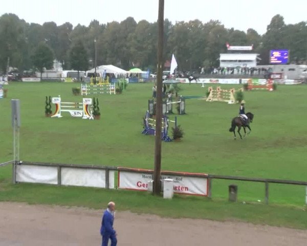 Reitturnier Bad Segeberg 2017