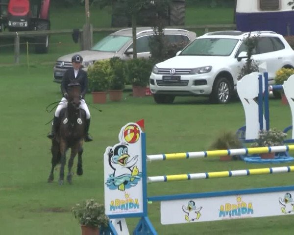 Reitturnier Bad Segeberg 2017