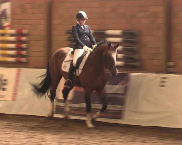 Reitturnier Ovenstädt 2017