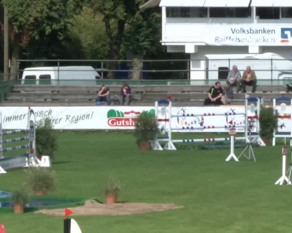 Reitturnier Bad Segeberg 2017