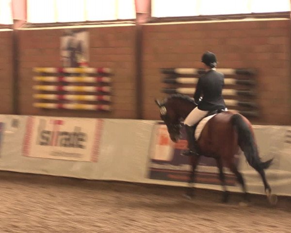 Reitturnier Ovenstädt 2017