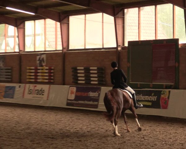 Reitturnier Ovenstädt 2017