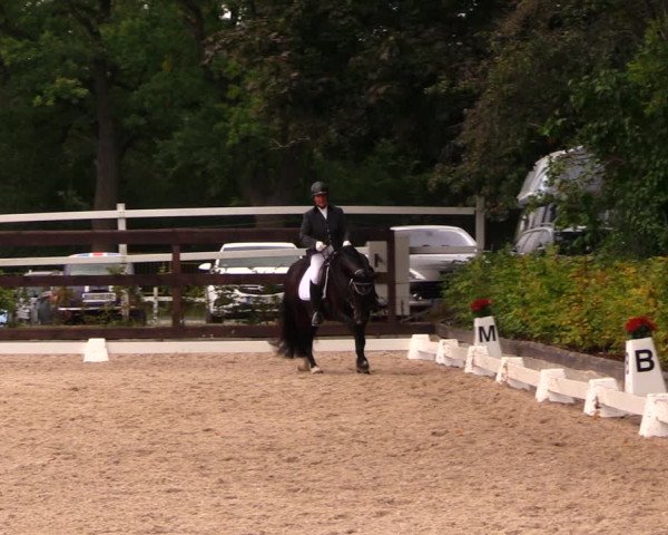 Reitturnier Müncheberg 2017