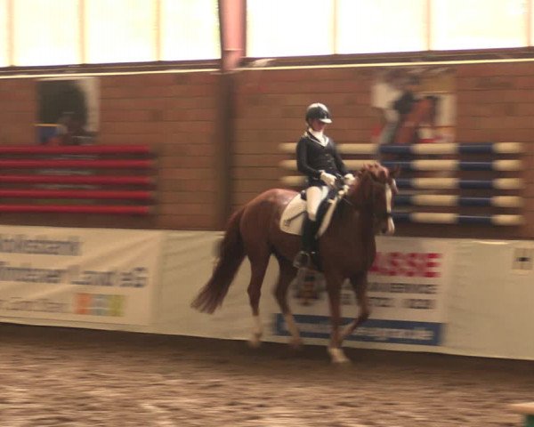 Reitturnier Ovenstädt 2017