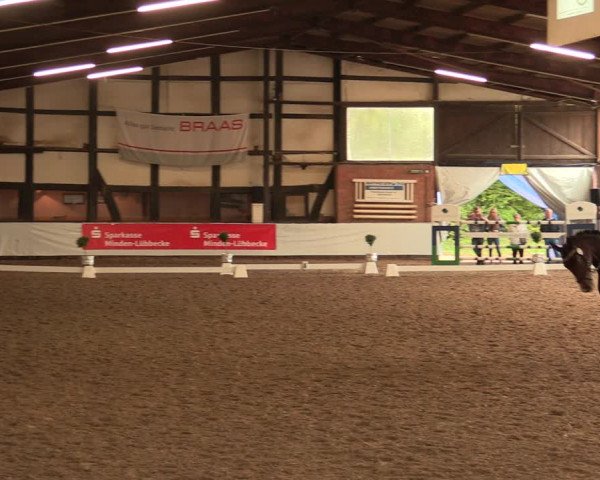 Reitturnier Ovenstädt 2017