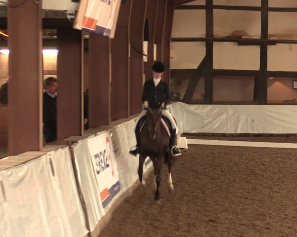 Reitturnier Ovenstädt 2017