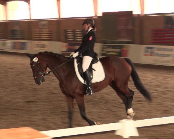 Reitturnier Ovenstädt 2017