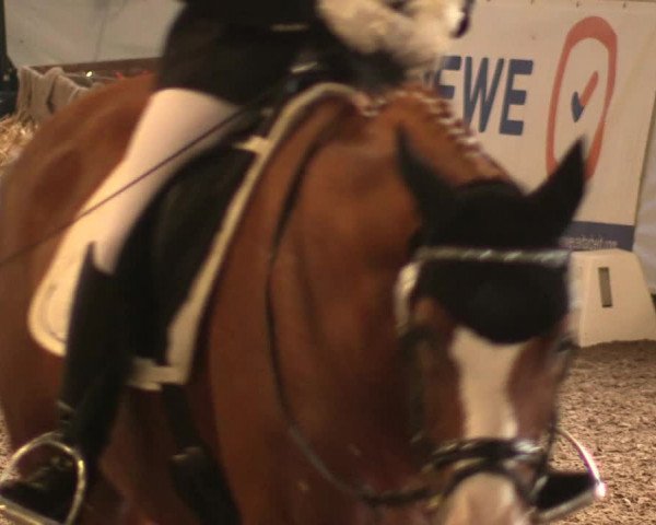 Reitturnier Ovenstädt 2017