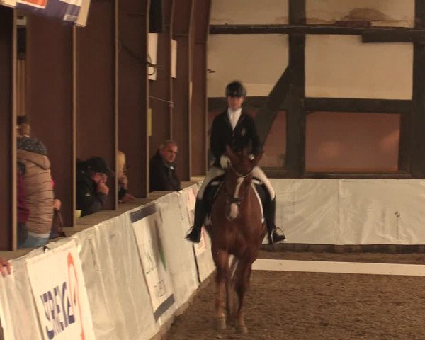Reitturnier Ovenstädt 2017