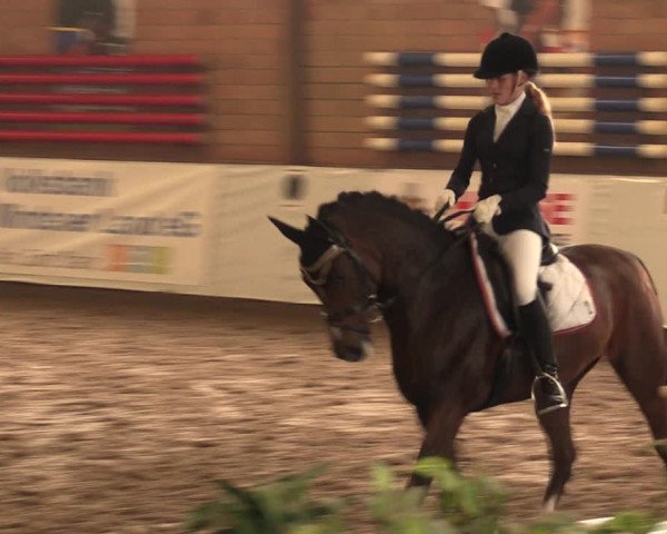 Reitturnier Ovenstädt 2017