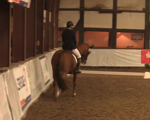 Reitturnier Ovenstädt 2017