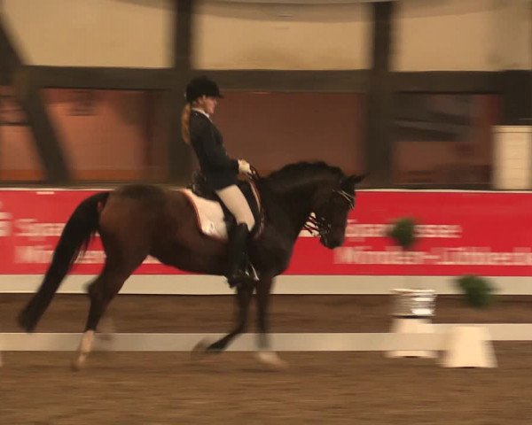Reitturnier Ovenstädt 2017
