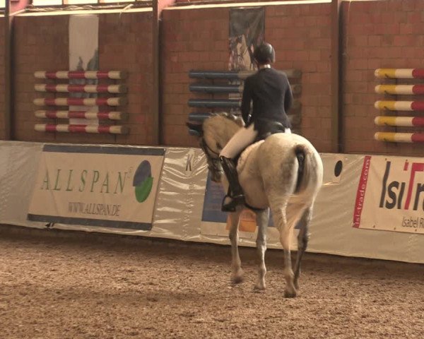 Reitturnier Ovenstädt 2017