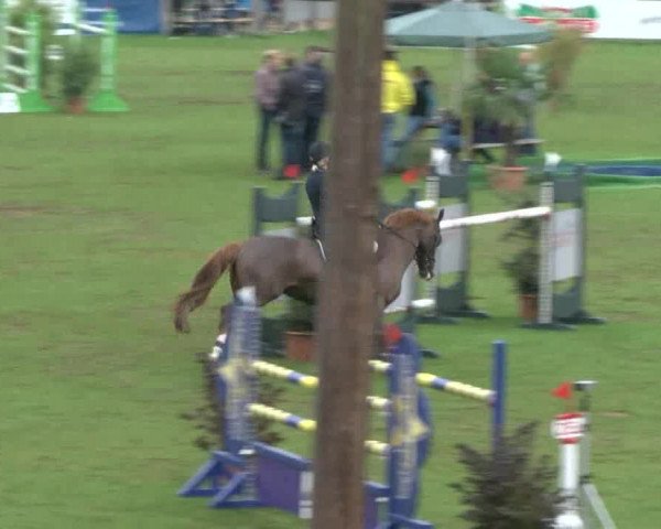 Reitturnier Bad Segeberg 2017