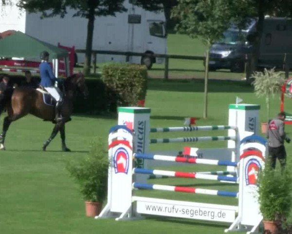 Reitturnier Bad Segeberg 2017