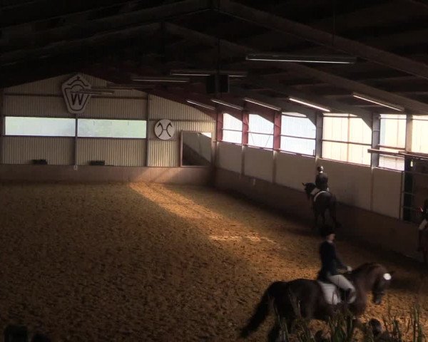 Reitturnier Lüdinghausen-Westrup 2017