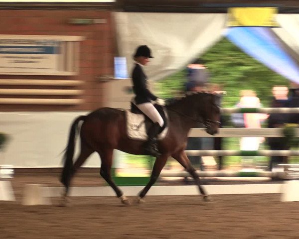 Reitturnier Ovenstädt 2017