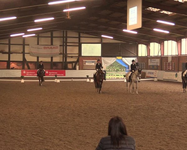 Reitturnier Ovenstädt 2017